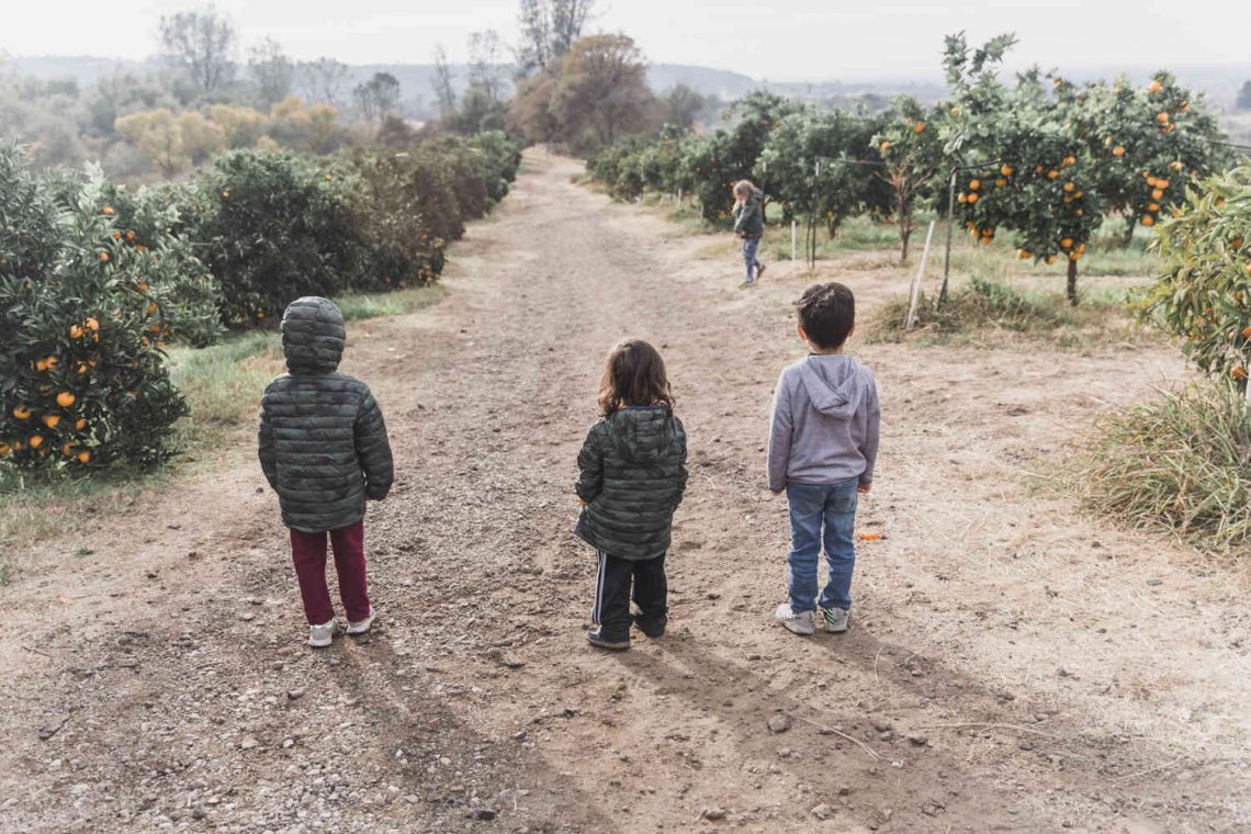 Mandarin Picking Near Sacramento Salt Harvest Creatives